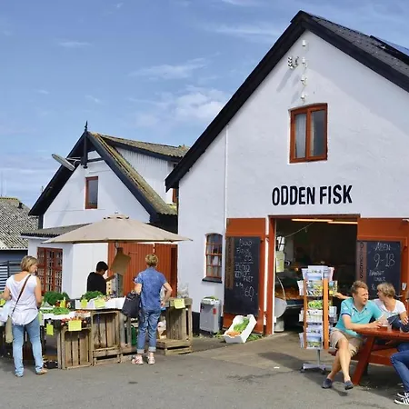 Romantisk Feriehus 100 Meter Taet Pa Havet 別荘 Yderby